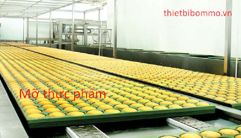 Cách chọn Mỡ Thực Phẩm Đúng Cách và An Toàn nhất