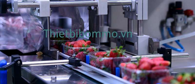 Khám phá những đặc điểm nổi bật của mỡ an toàn thực phẩm