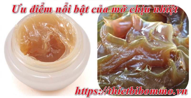 Mỡ chịu nhiệt là gì?- những điều bạn tuyệt đối không nên bỏ qua