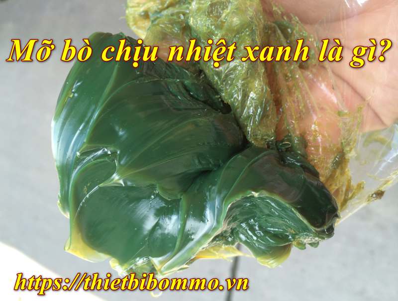 Mỡ bò chịu nhiệt xanh là gì? Vai trò và tác dụng của mỡ