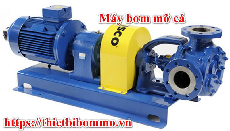 Máy bơm mỡ cá và 5 Đặc điểm nổi bật của máy bơm mỡ