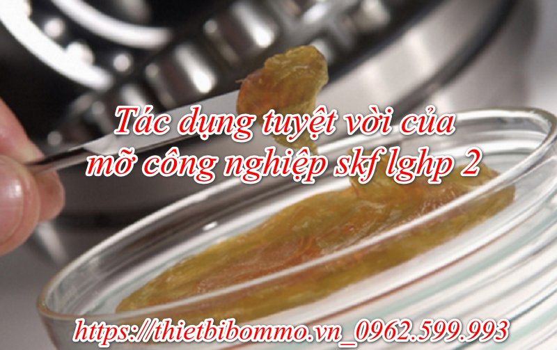 Bật mí 4 cách nhận biết mỡ công nghiệp skf lghp 2 chính hãng