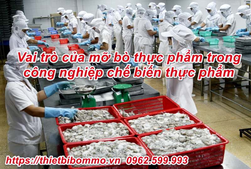 Bán mỡ bò thực phẩm chính hãng, giá rẻ nhất tại Hà Nội